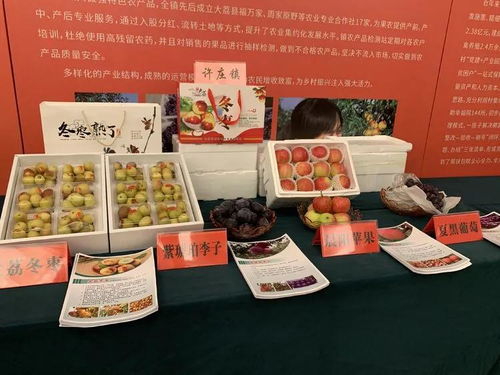 大荔冬棗進(jìn)軍上海市場(chǎng) 簽訂農(nóng)產(chǎn)品購銷協(xié)議5.3萬噸